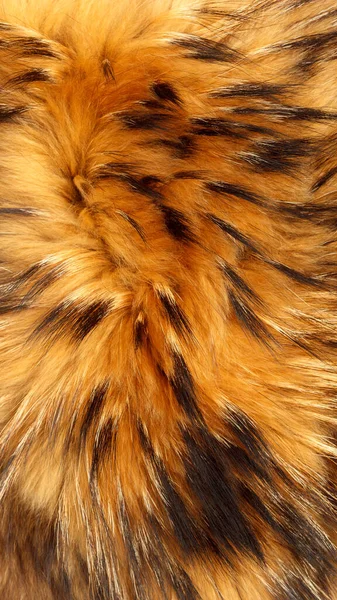 浣熊的毛皮纹理特写 自然毛皮摄影 重点浅薄 — 图库照片