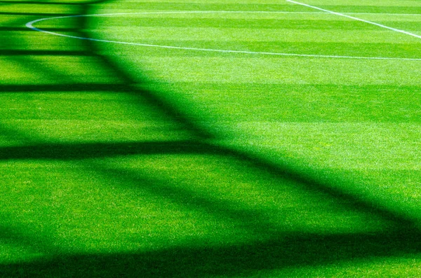 Empty soccer\'s field at the stadium during quarantine.