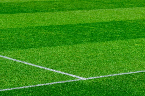İzolasyon döneminde stadyumdaki boş futbol sahası.