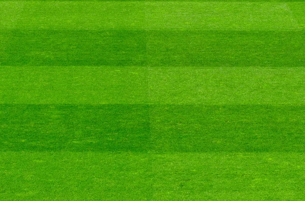 Empty soccer\'s field at the stadium during isolation period.