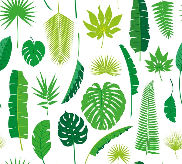 Hermoso fondo de patrón floral de selva tropical sin costuras con diferentes hojas de palma — Vector de stock