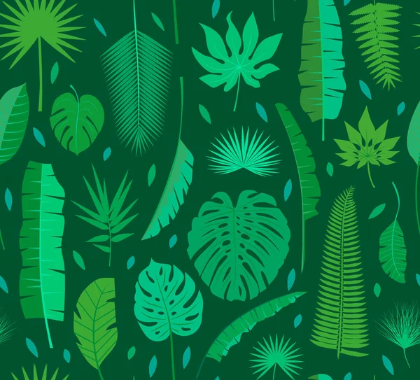 Hermoso fondo de patrón floral de selva tropical sin costuras con diferentes hojas de palma Gráficos Vectoriales