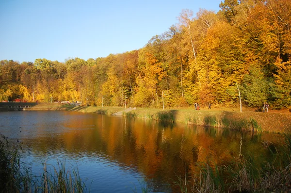 güneşli bir sonbahar günü