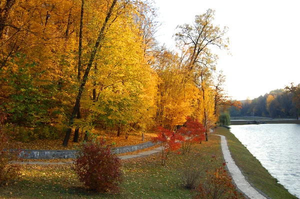 Parkta altın sonbahar