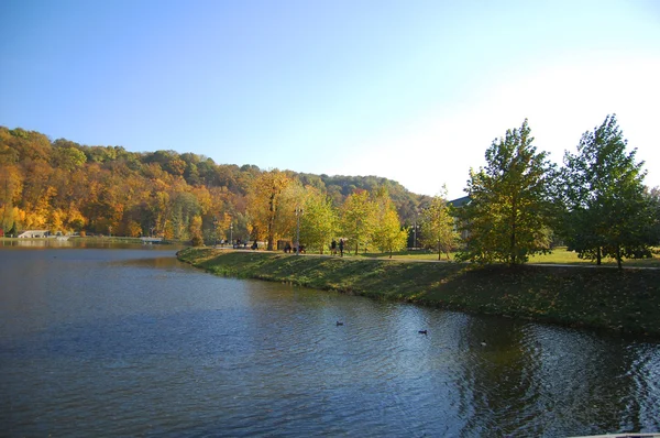 Parkta altın sonbahar