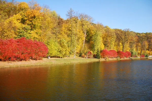 Parkta altın sonbahar