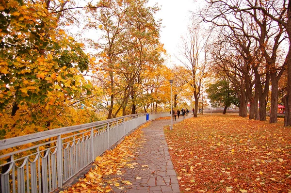 Kiev'deki Vladimir Tepesi