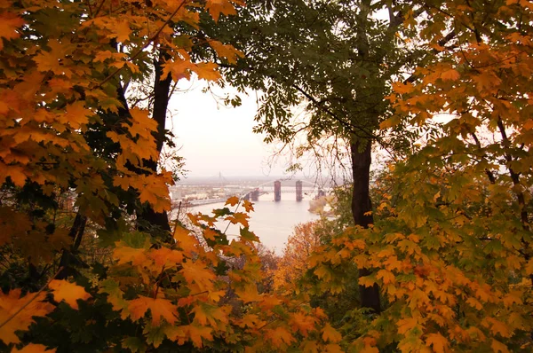 Podolsky köprüyü geçtikten görünümünü. Kiev