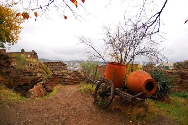 Tbilisi. Şehir manzarası