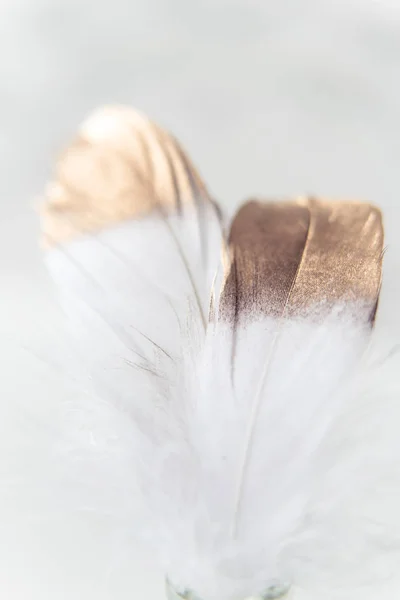 Пасхальные украшения в стиле минимализма с золотым пером — стоковое фото