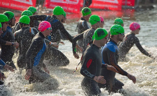Les nageurs de triathlon entrent en phase de nage en eau libre . — Photo