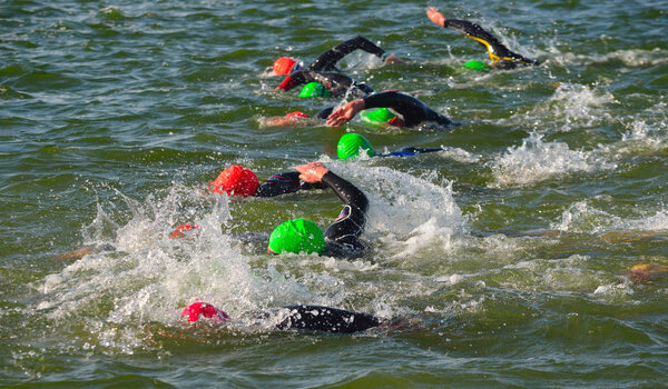 Competitors swimming in at the end of the swimming stage at the beginning of Triathlon. 