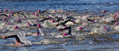 Nehirde triatlon yüzücüleri Pembe şapkalı ve dalgıç kıyafetli Ouse.