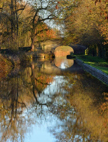 Jesień Pozostawia Shropshire Union Canal Llangollen Oddział Wrenbury Cheshire — Zdjęcie stockowe
