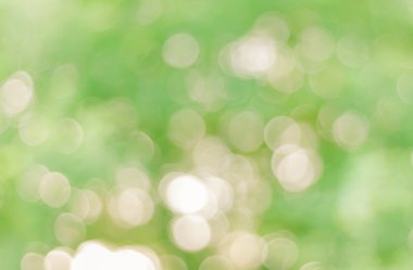 bokeh arka plan ağaç gün batımı ile bulanıklık.