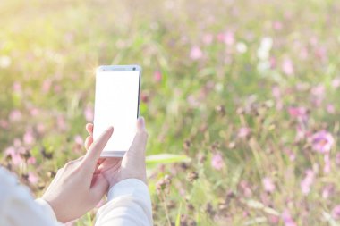 Bahçe çiçek arka planda güneş ışığı ile Smartphone kullanarak kadının elleri.