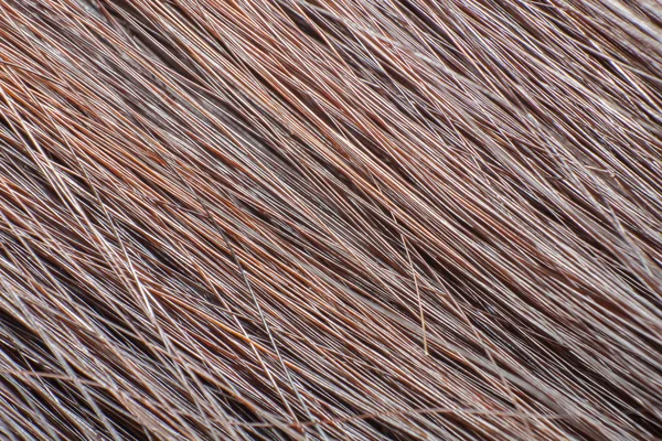 Macro shot of brown hair — Stock Photo, Image