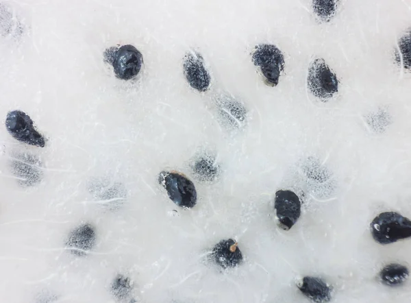 Macro shot of dragon fruit seeds — Stock Photo, Image