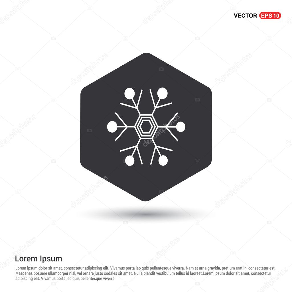 winter snowflake icon