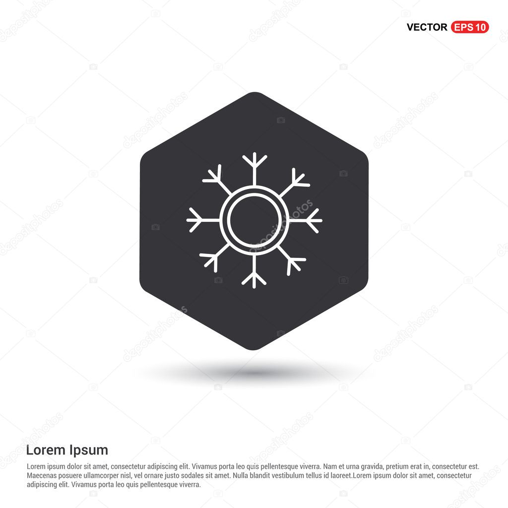 winter snowflake icon