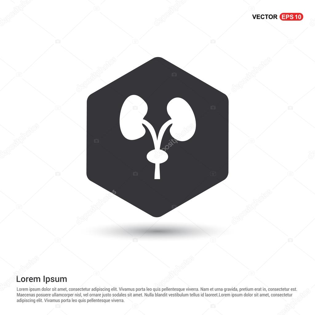 Urinary system icon