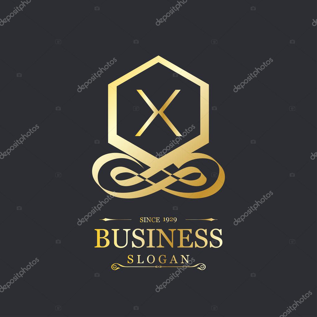 Business logotype icon with letter X on black background, vector illustration