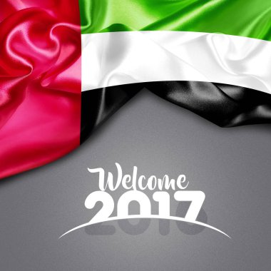 BAE 2017 yeni yılda