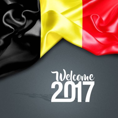 2017 yeni yıl Belçika