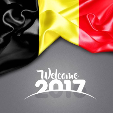 2017 yeni yıl Belçika