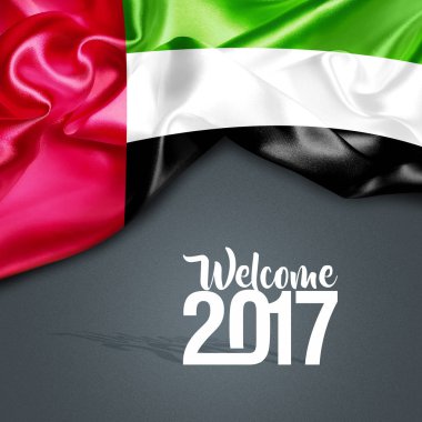 BAE 2017 yeni yılda