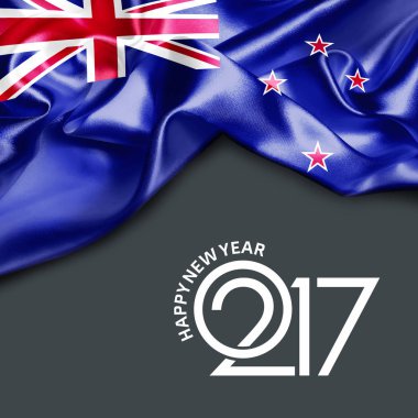 2017 yeni yıl Yeni Zelanda
