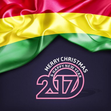 2017 yeni yıl Bolivya