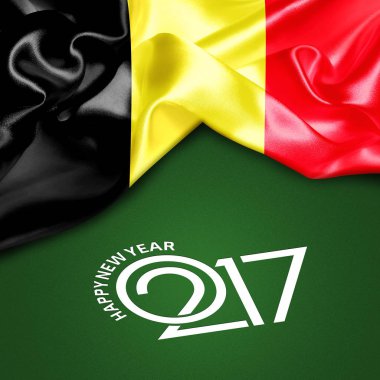 2017 yeni yıl Belçika