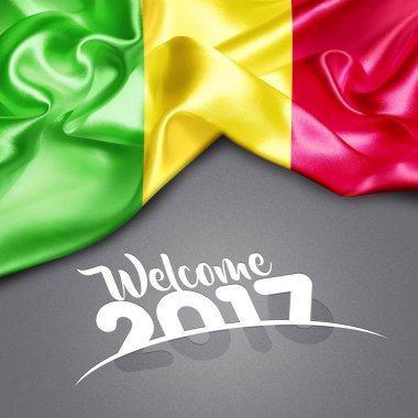 2017 yeni Mali yılda