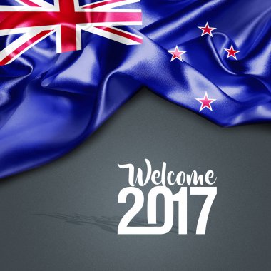 2017 yeni yıl Yeni Zelanda