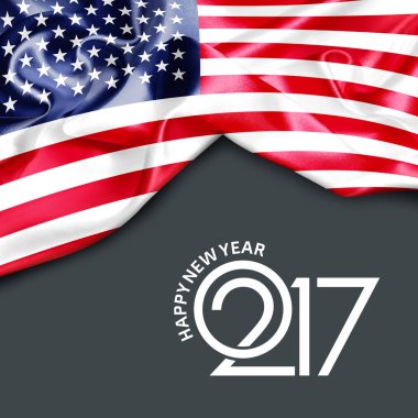 2017 yeni yıl ABD'de