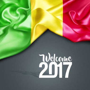 2017 yeni Mali yılda