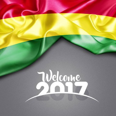 2017 yeni yıl Bolivya