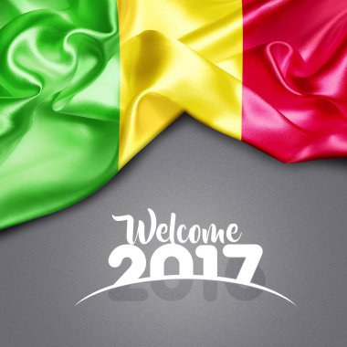 2017 yeni Mali yılda