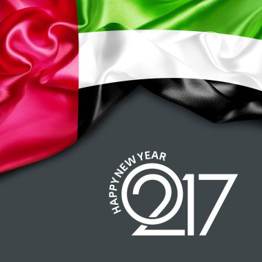 BAE 2017 yeni yılda