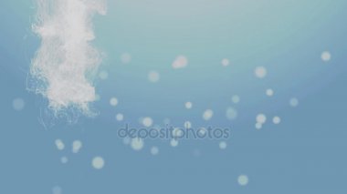 Pakistan Bağımsızlık günü 