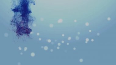 Çek Cumhuriyeti Bağımsızlık günü 