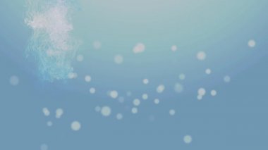 Arjantin Bağımsızlık günü 