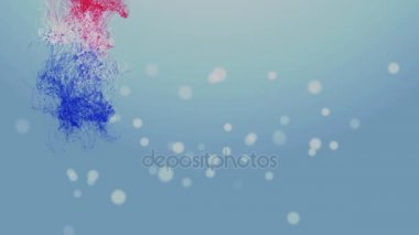 Paraguay Bağımsızlık günü 