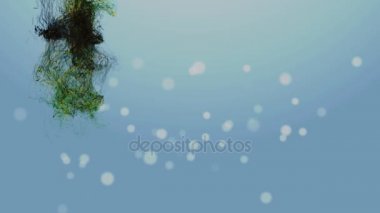 Güney Afrika Bağımsızlık günü 