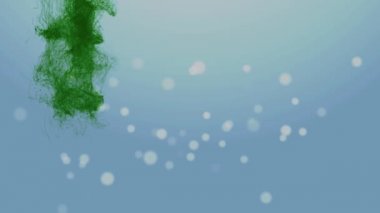 Portekiz Bağımsızlık günü 