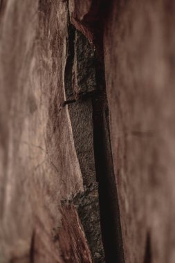 kahverengi ahşap plakalar 