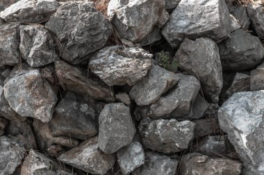 çim ile kaya yığını