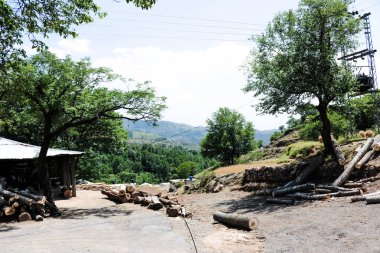 Büyük Modern Ahşap Ev  