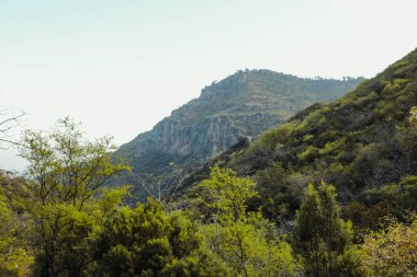 dağlar yeşil çimen 